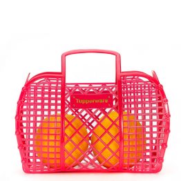 0139-Orange Carrier