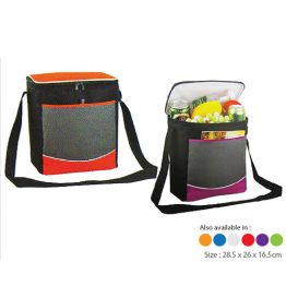 0908-Giovanni Cooler Bag