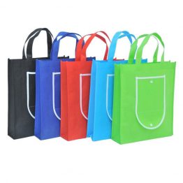 1204-Foldable Non Wooven Bag