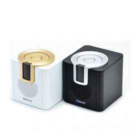 4702-Bluetooth Speaker with FM Function