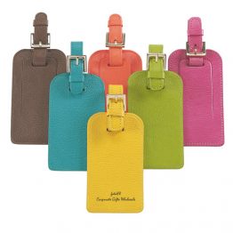 5301-Vincenzo Luggage Tag