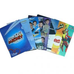 6202-L Shaped Folder