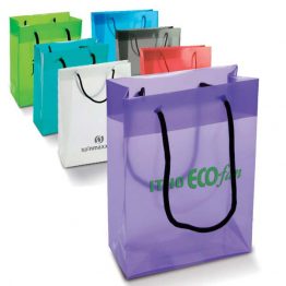 6215-Frosty Bag