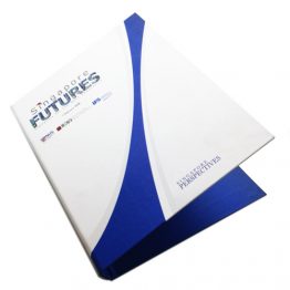 6217-Corporate Ring File