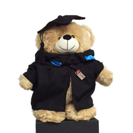 6904-Graduation Bear