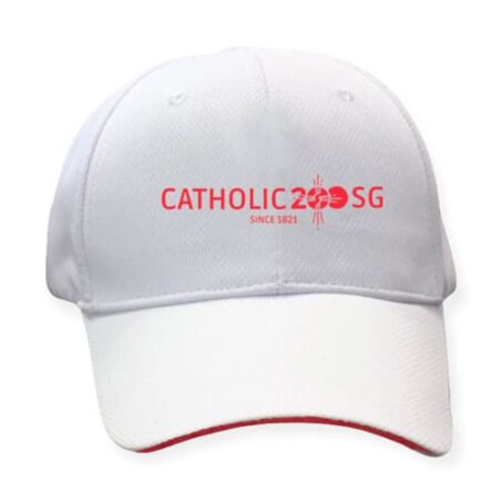 Drifit-Cap