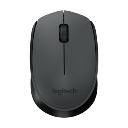 MOUSE